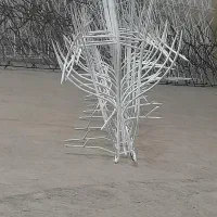 حفاظ روی دیوار ایمن شاخگوزنی بوته خاری نیزه ای و..