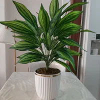 درختچه مصنوعی.کنار سالنی.