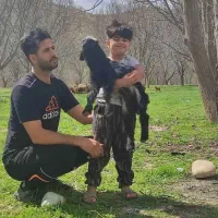 تور تفریحی|تور و چارتر|ساری, |دیوار