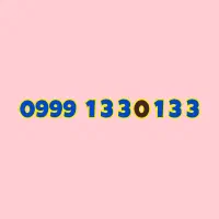 0999-133-0-133