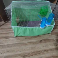 فروش فنچ|پرنده|محمدیه-قزوین, |دیوار