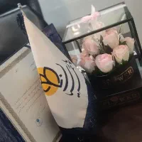 بیمه پارسیان نمایندگی مفیدی
