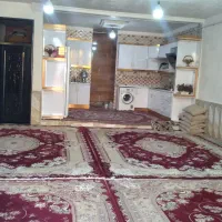 ۴عدد فرس ۱۲ متری