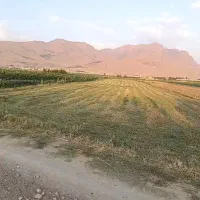 زمین کشاورزی جهت باغ