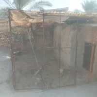 قفس|لوازم جانبی حیوانات|خرمشهر, |دیوار