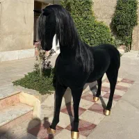 شیر اسب دلفین گوزن عقاب سگ|مجسمه، تندیس، ماکت|سیرجان, |دیوار