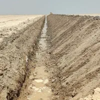 بیل مکانیکی زنجیری استیجاری آماده ب کار