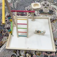 پارک بازی پرنده