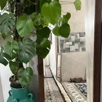 آینه قدی با قاب روکش طبیعی چوب|آینه|اندیشه, اندیشه فاز ۱|دیوار