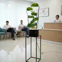 آب نما طبیعت زینو