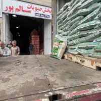 بازاریاب(ویزیتور) مواد غذایی
