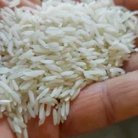 برنج هاشمی اصل گیلان ( درجه یک )|خوردنی و آشامیدنی|تهران, جمال‌زاده|دیوار