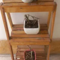 استند چوبی|کتابخانه، شلف، قفسه‌های دیواری|قم, پردیسان|دیوار