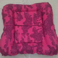 جای خواب گربه