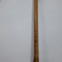 سه تار استاد کاظمی