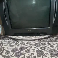تلویزیون