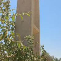 دویست-متر-زمین-تجاری-تنگ-ارم