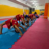 آموزش تخصصی ساندا (بوکس چینی) ووشو