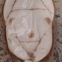 آعوشی سویسی