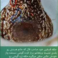 فال قهوه ،تاروت.همراه تفعل.