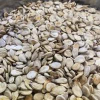 فروش تخمه هندوانه آجیلی