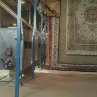 به چند کارگر جهت کار در قالیشویی نیازمندیم