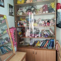 کتابخانه و کمد|کتابخانه، شلف، قفسه‌های دیواری|شیراز, کوی زهرا|دیوار