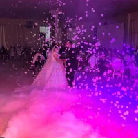 دیجی برای همه مراسم های شما