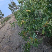 باغچه ۲۰۰۰هزارمتری در جاده کاشان