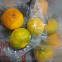 آموزشگاه رانندگی موتورسیکلت