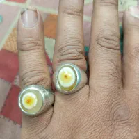 باباقوری  بسیارزیبا|بدلیجات|مشهد, وحید|دیوار