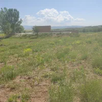 زمین کشاورزی و باغ