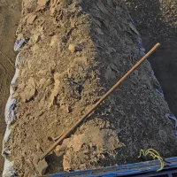 کود مرغ گوشتی مستقیم از سالن مرغداری|خدمات باغبانی و درختکاری|رفسنجان, |دیوار