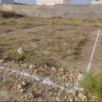 زمین در روستای عربی