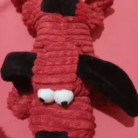 عروسک|اسباب‌‌بازی|زنجان, |دیوار