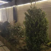 باغ لوکس درگنبدواز