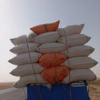 کاه دیم درجیه یک
