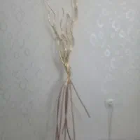 چوب پیچ|گل مصنوعی|تربت‌حیدریه, شهرک ولیعصر|دیوار