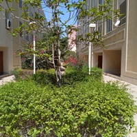 نیازمند همخونه خانم مرکز شهر روبروی بازار پردیس|اجارهٔ آپارتمان|کیش, |دیوار