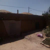 زمین