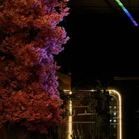 آشپز فست فود کار نیروی ساده