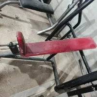 دستگاه بدنسازی باشگاهی دست دوم|تجهیزات ورزشی|شیراز, گویم|دیوار