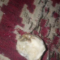 این سنگ طلاکوه