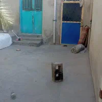 یک اطاق بزرگ در علی اباد سازمان برای کرایه 40متری|اجارهٔ خانه و ویلا|عنبرآباد, |دیوار