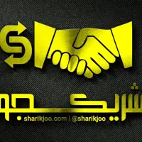 شراکت یا سرمایه گذاری