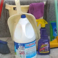 خدمات نظافتی قصر سپید|خدمات نظافت|نسیمشهر, |دیوار