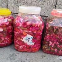 کیلویی 60 هزار|حراج|نقده, |دیوار