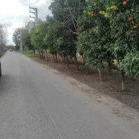 ۲۰۰زمین جنگلی بر جاده ساخت و سازشده/با سندتک