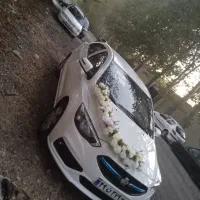 اجاره ماشین عروس شاهین|گل و گیاه طبیعی|فردیس, شهرک راه آهن|دیوار