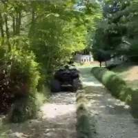 زیباترین-باغ-با-درخت-ها-و-میوه-های-استوایی